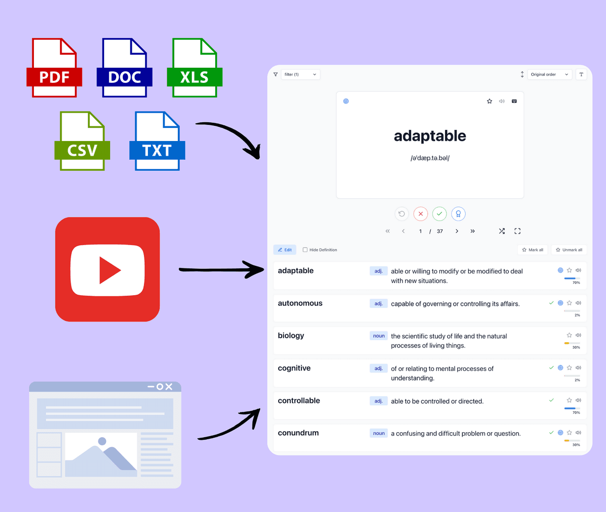 Content extraction and customization interface